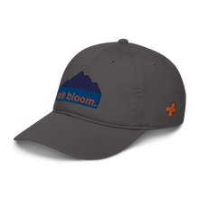Load image into Gallery viewer, Mountain dad hat
